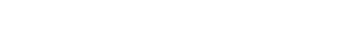 Hans Danuser Logo